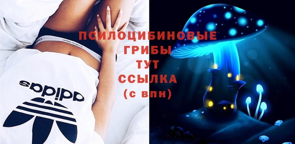 индика Арсеньев