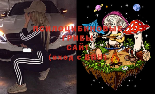 индика Арсеньев