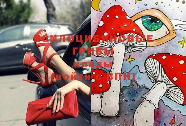индика Арсеньев
