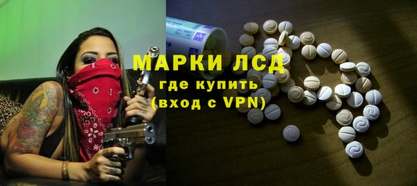 индика Арсеньев